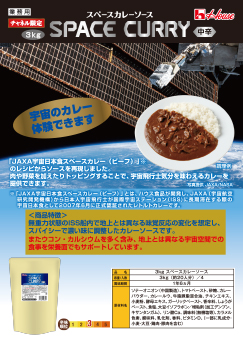 スペースカレーソース