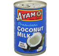 AYAM  ココナッツミルク
