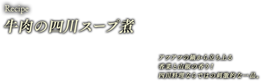 牛肉の四川スープ煮